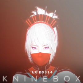 KS314 female ninja